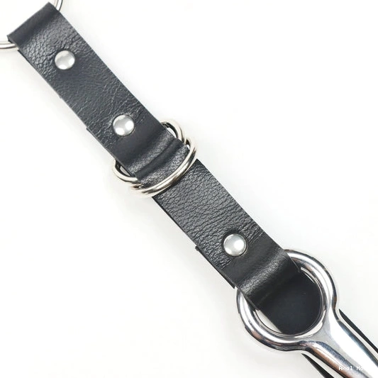 Anal Kinky Hook 5853 Collar Leash with EverydayUse and 1218